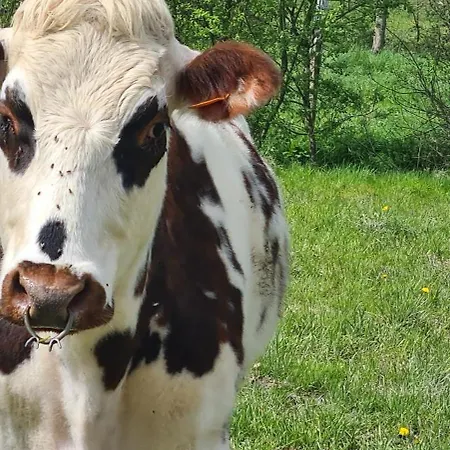 Roulotte A La Ferme Buissonniere