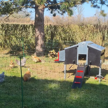 Roulotte A La Ferme Buissonniere La Lande-de-Louge