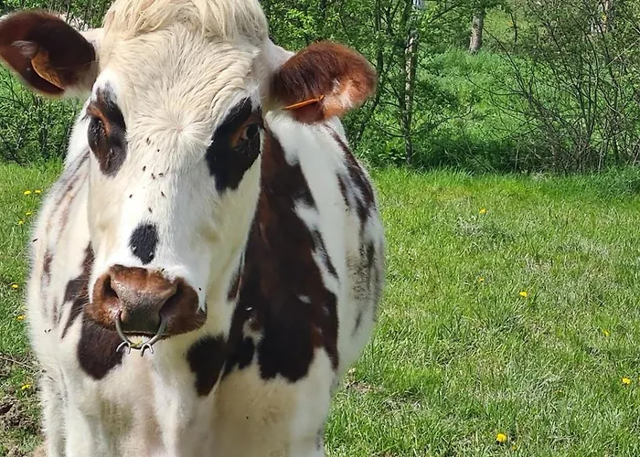 Roulotte A La Ferme Buissonniere