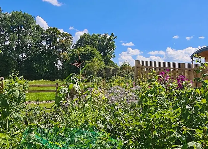 Roulotte A La Ferme Buissonniere * La Lande-de-Louge