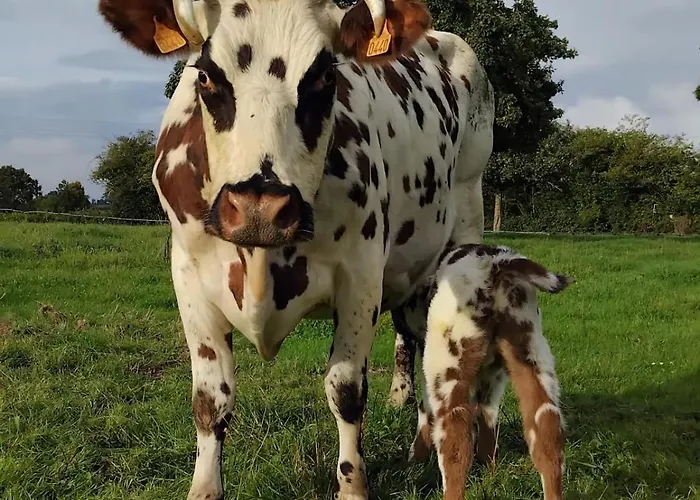 Vakantieboerderij Roulotte A La Ferme Buissonniere *