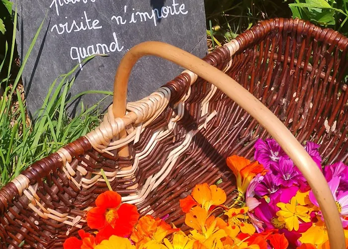 Roulotte A La Ferme Buissonniere * La Lande-de-Louge